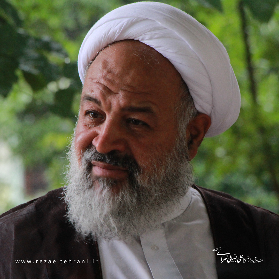 دیدار جمعی از طلاب و مبلغین کشور ترکیه
